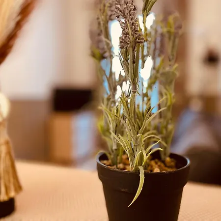 Douillet Rue Saint-gervais - 369 Appartement *